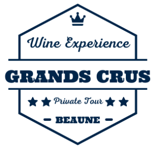 Wine Experience Tour